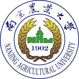 会计学（专升本）